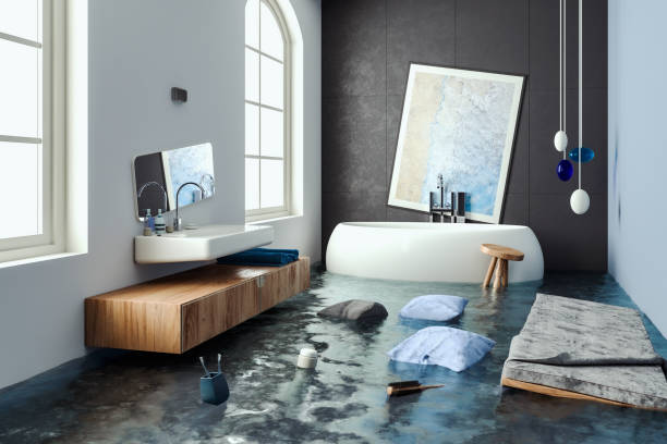 Best Water damage contractors near me  in Denison, IA