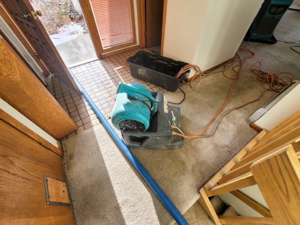 Best Water damage restoration near me  in Denison, IA
