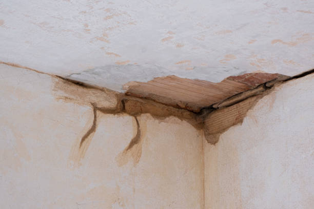 Best Water damage cleanup near me  in Denison, IA