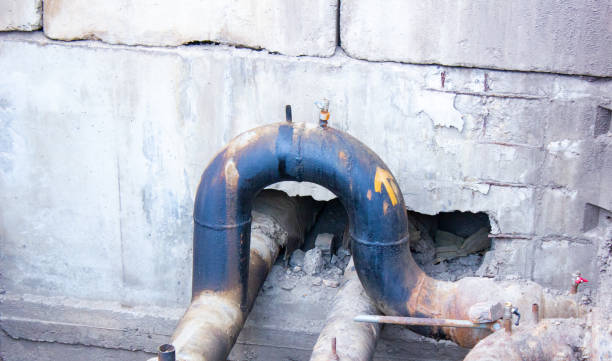 Best Water damage restoration near me  in Denison, IA