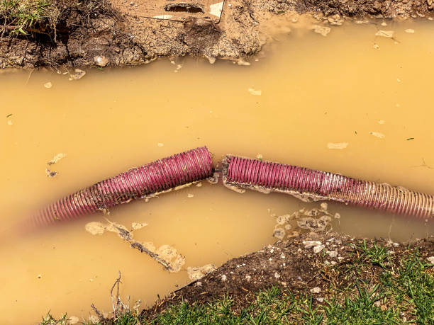 Best Water damage restoration mold remediation  in Denison, IA