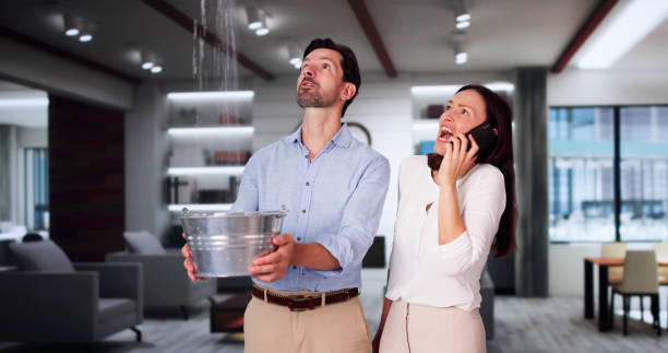 Best 24/7 water damage repair  in Denison, IA