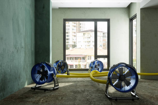 Best Emergency water damage restoration  in Denison, IA