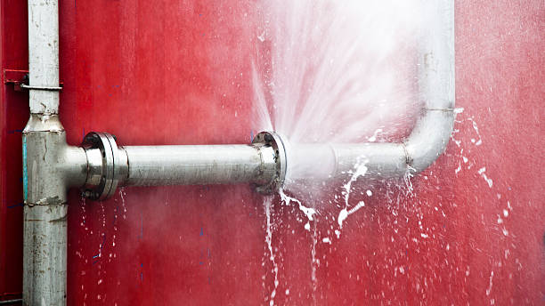Best Flood damage cleanup  in Denison, IA