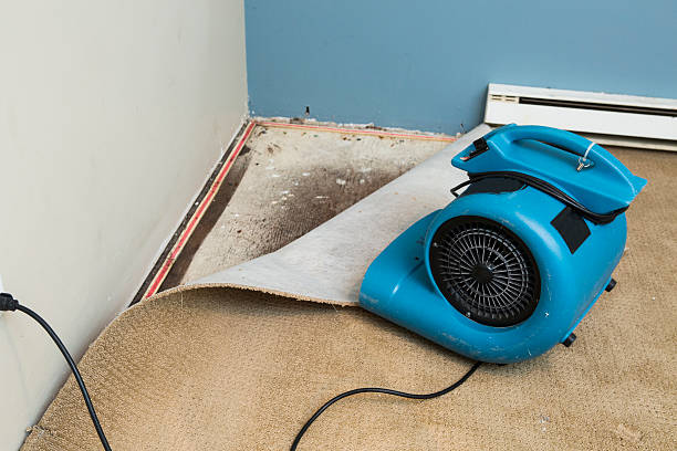 Best Fire Damage Restoration  in Denison, IA